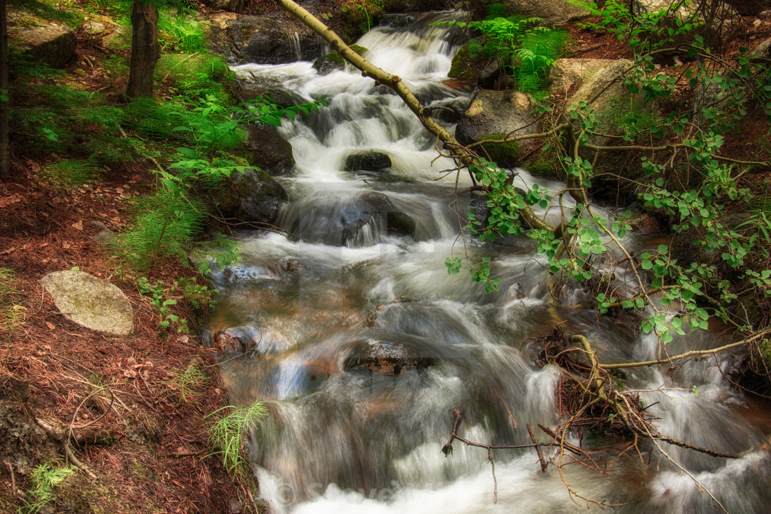 "Tributary" by Steve Miller - $19.30 "Tributary" stock image