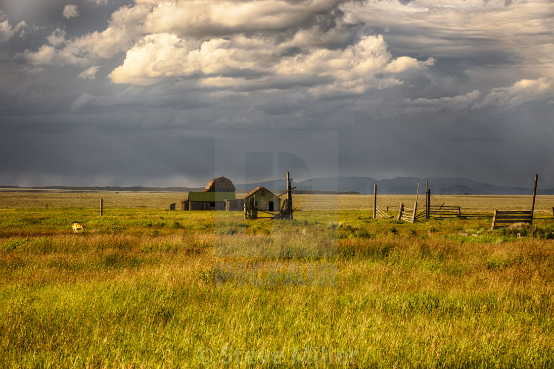 "Home on the Range" by Steve Miller - $19.30 "Home on the Range" stock image