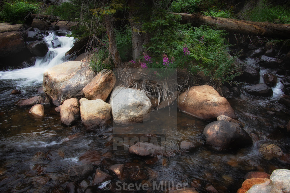 "South St Vrain Creek II" by Steve Miller - $19.30 "South St Vrain Creek II" stock image