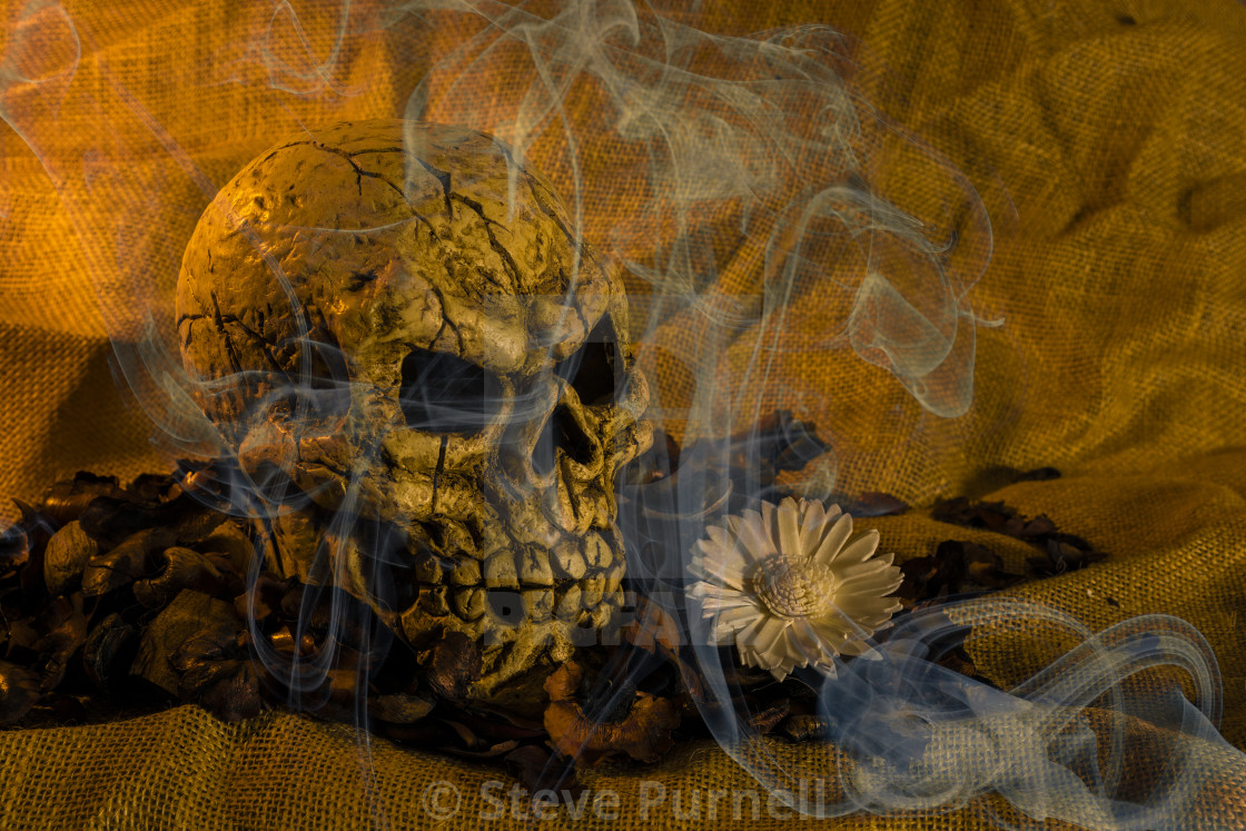 "Skull Smoke And Flowers" stock image