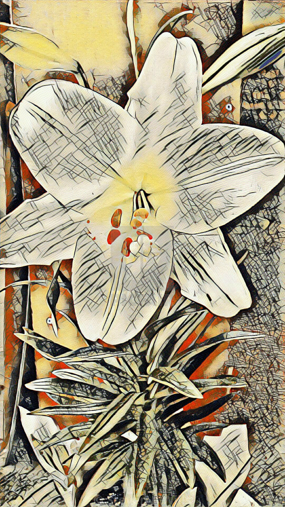 "Abstract flower" by Steven B. Wills - $15.78 "Abstract flower" stock image