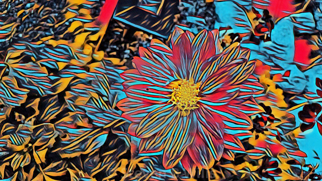 "Colorful floral art" by Steven B. Wills - $16.18 "Colorful floral art" stock image