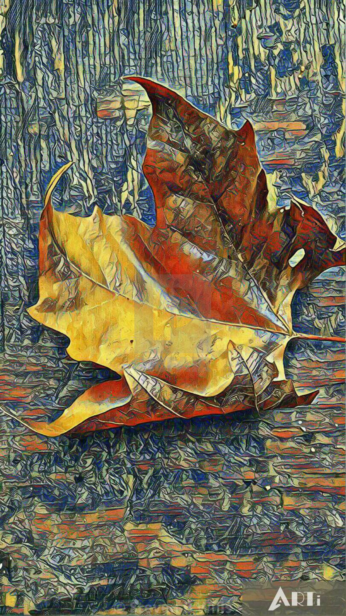 "The arty leaf" stock image