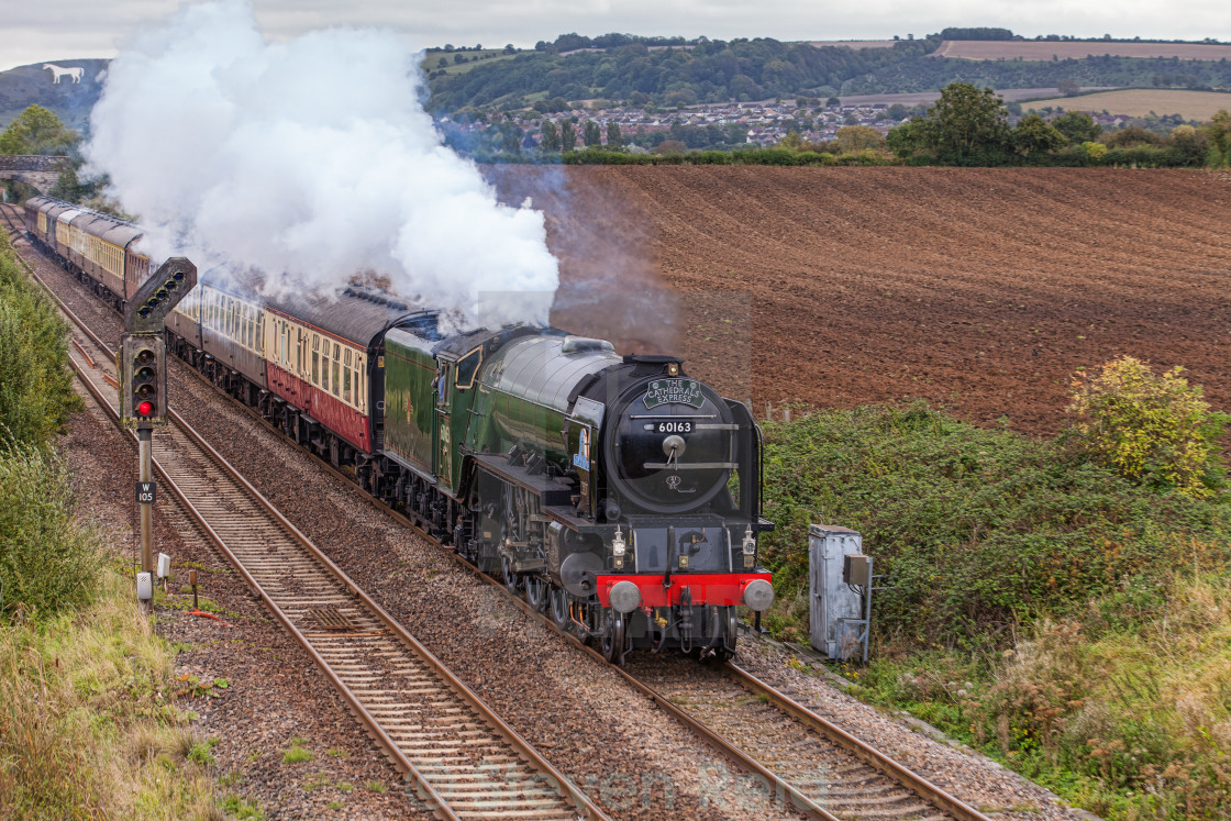 "Peppercorn A1 No. 60163 Tornado" stock image