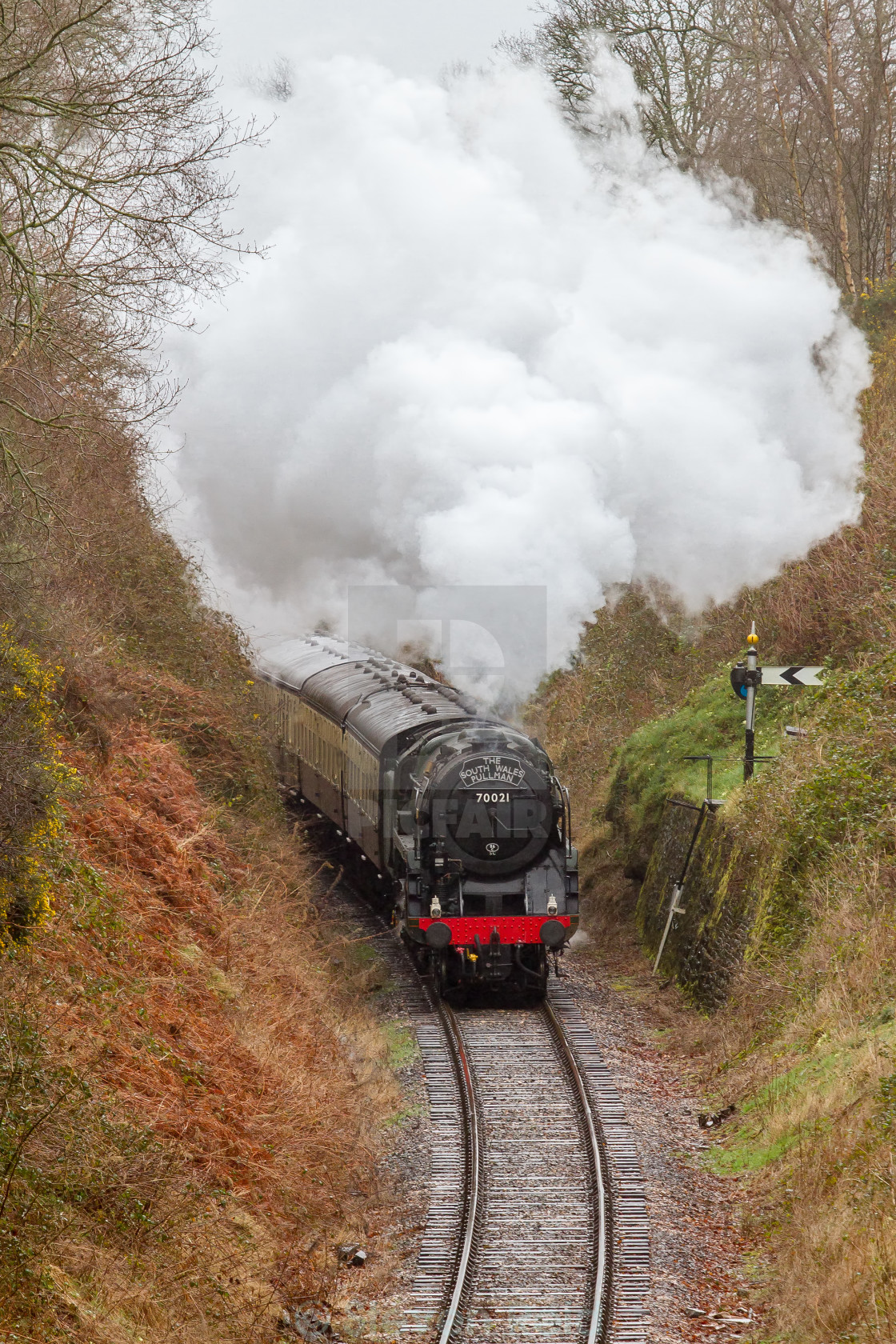 "BR 70021 Morning Star" stock image