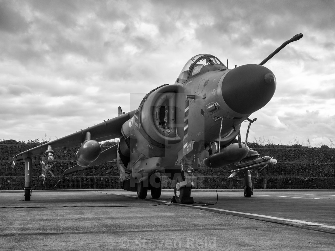 "Sea Harrier" stock image