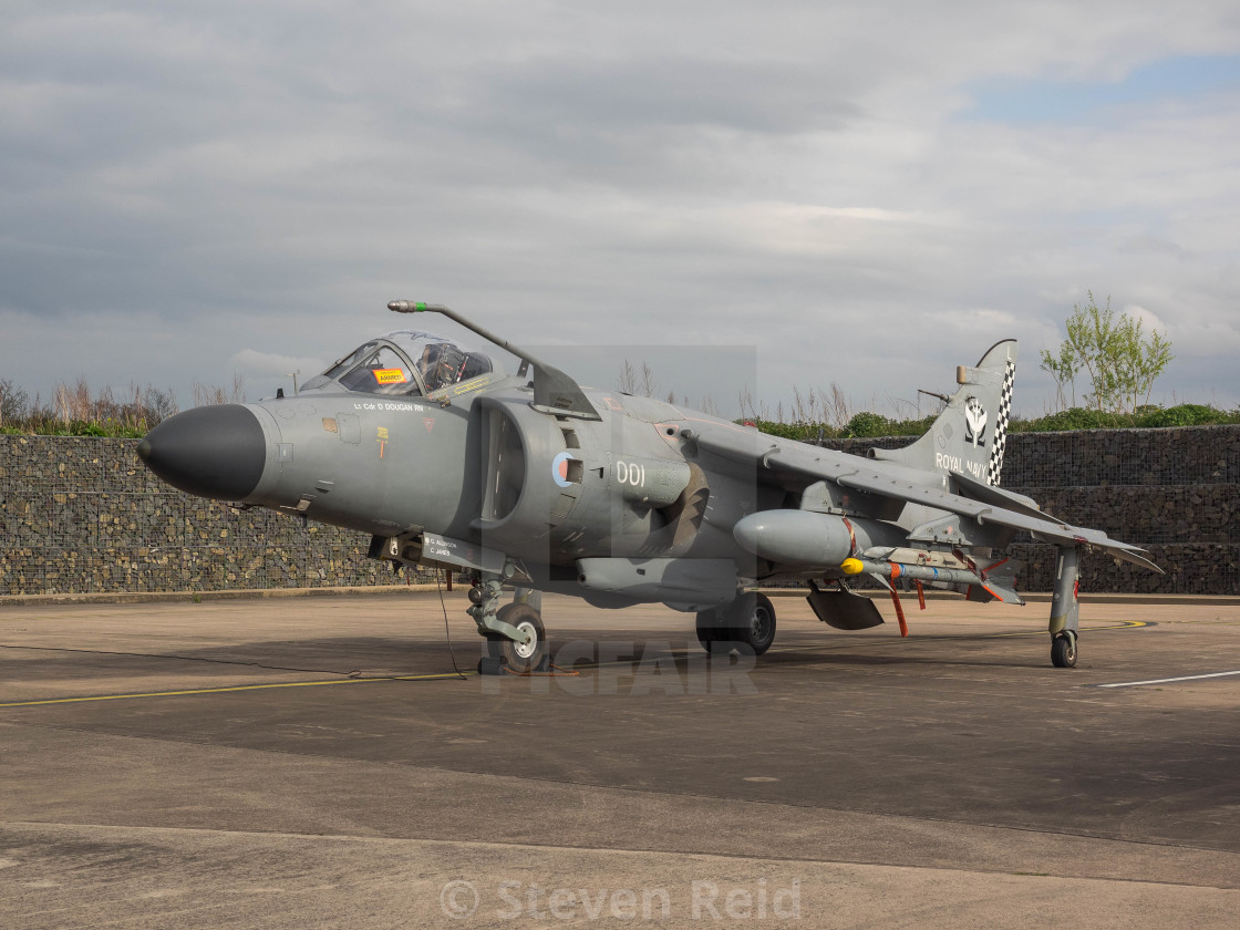 "Sea Harrier" stock image