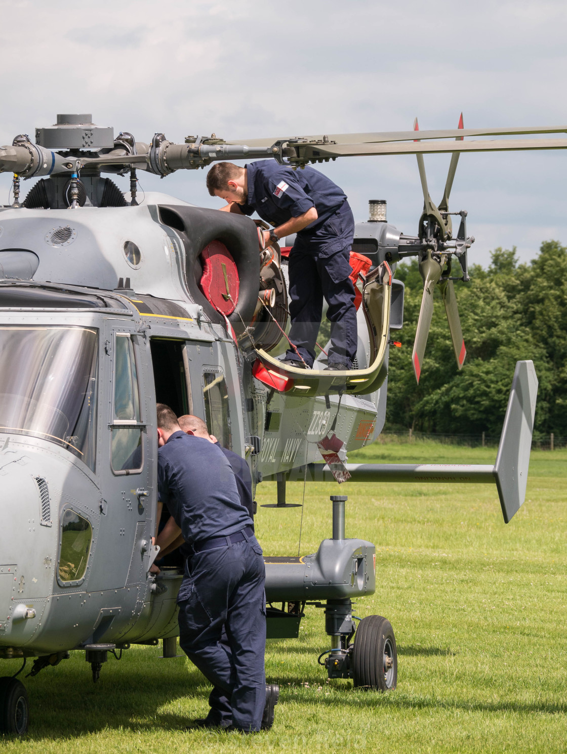 "Wildcat Crew" stock image