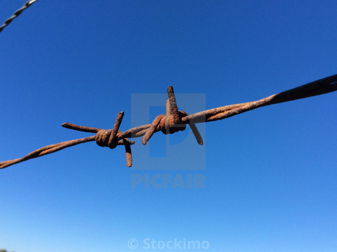 single strand barbed wire