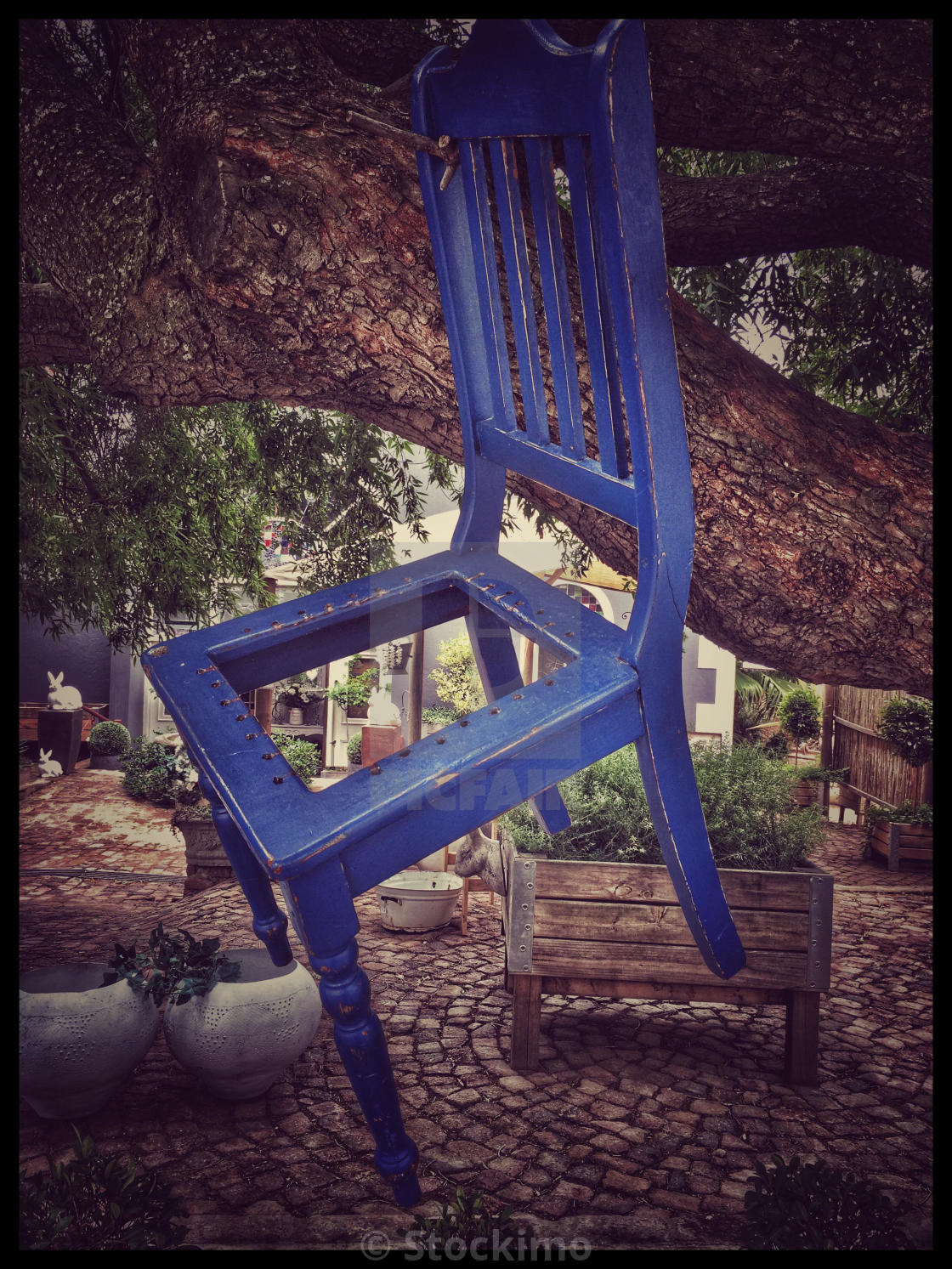 Blue Chair Hanging From A Tree In Riebeek West South Africa