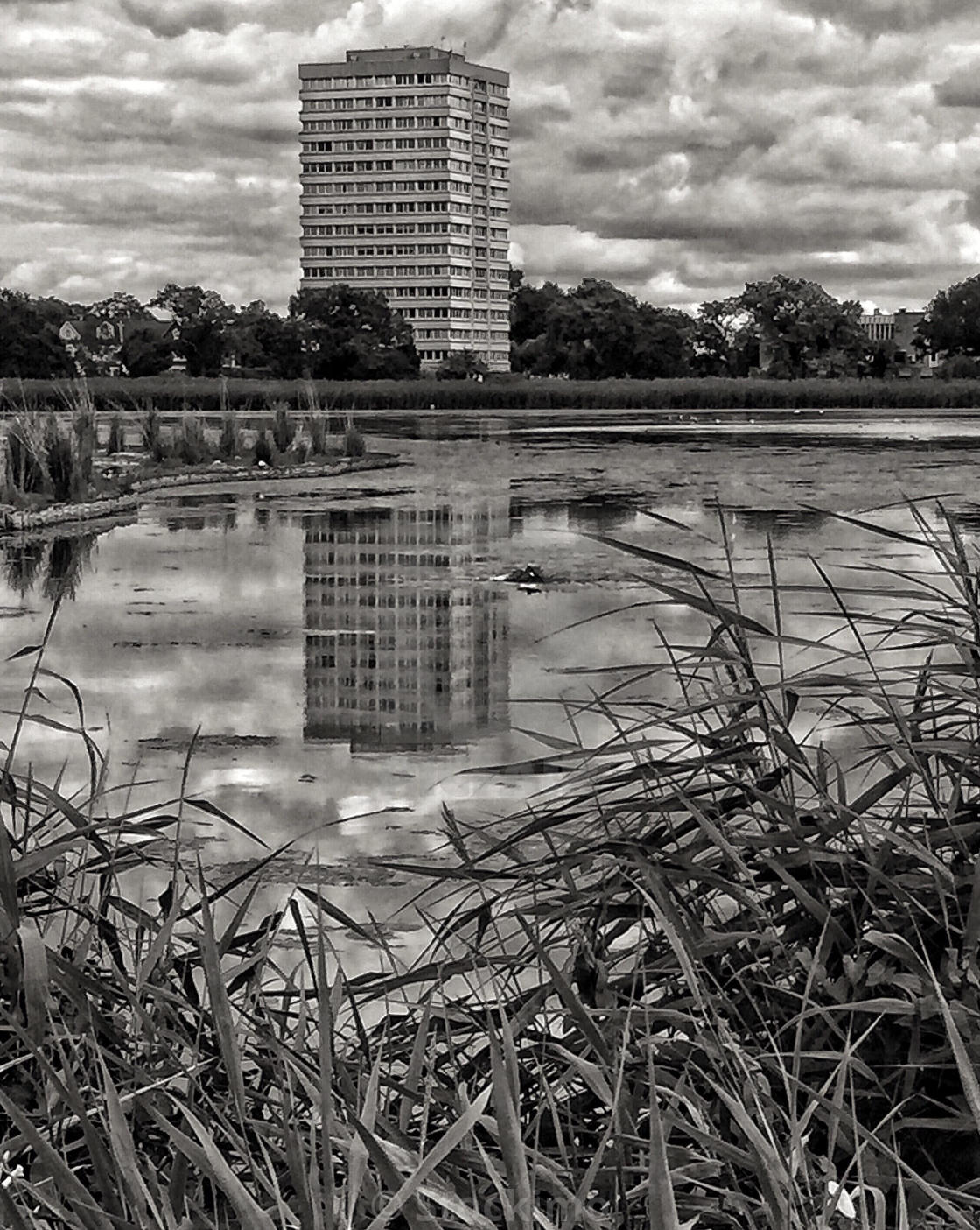 Urban Wildlife Reserve At The Woodberry Wetlands Hackney London U K License Download Or Print For 31 00 Photos Picfair