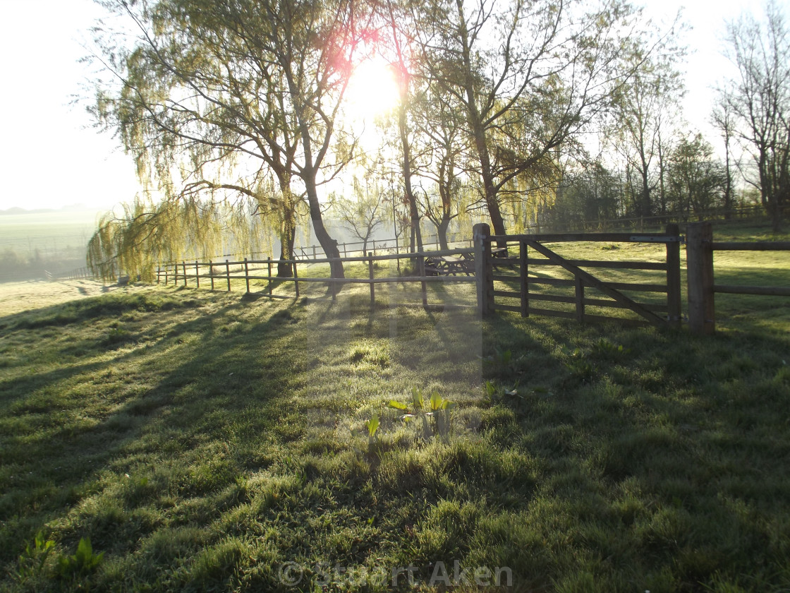 "Morning Sunlight" stock image