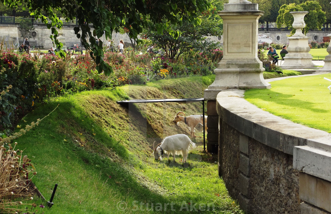 "Tuileries Gardens" stock image