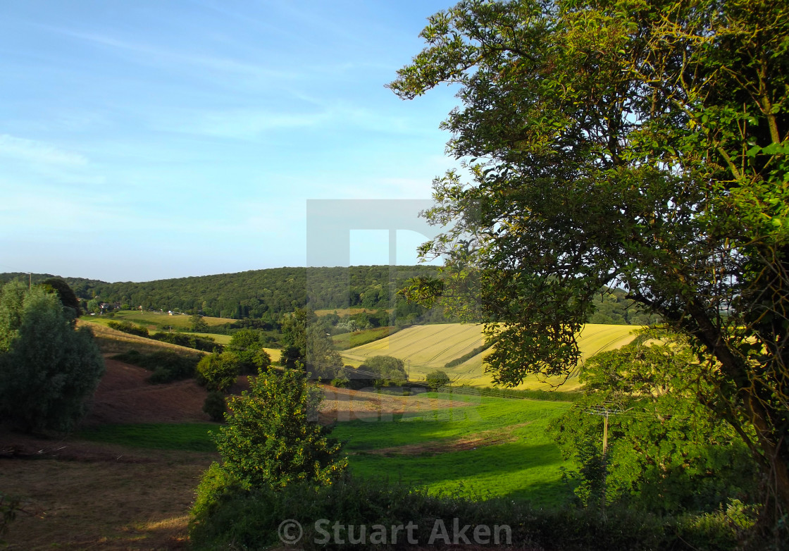 "Near Littledean" stock image