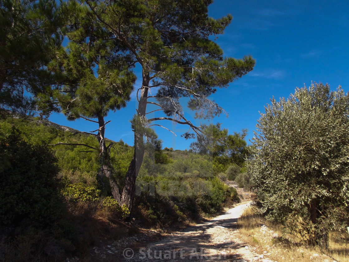 "Track to Vourliotes" by Stuart Aken - $9.47 "Track to Vourliotes" stock image