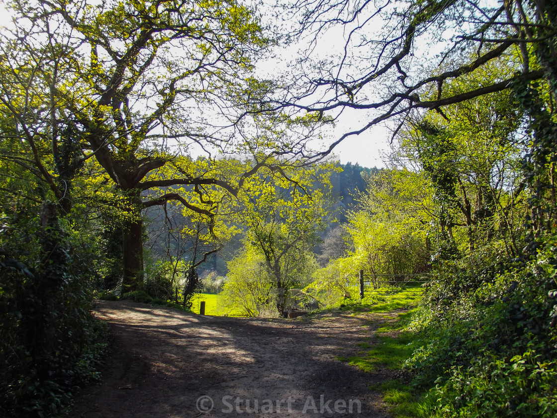 "Country Lane in Spring." stock image