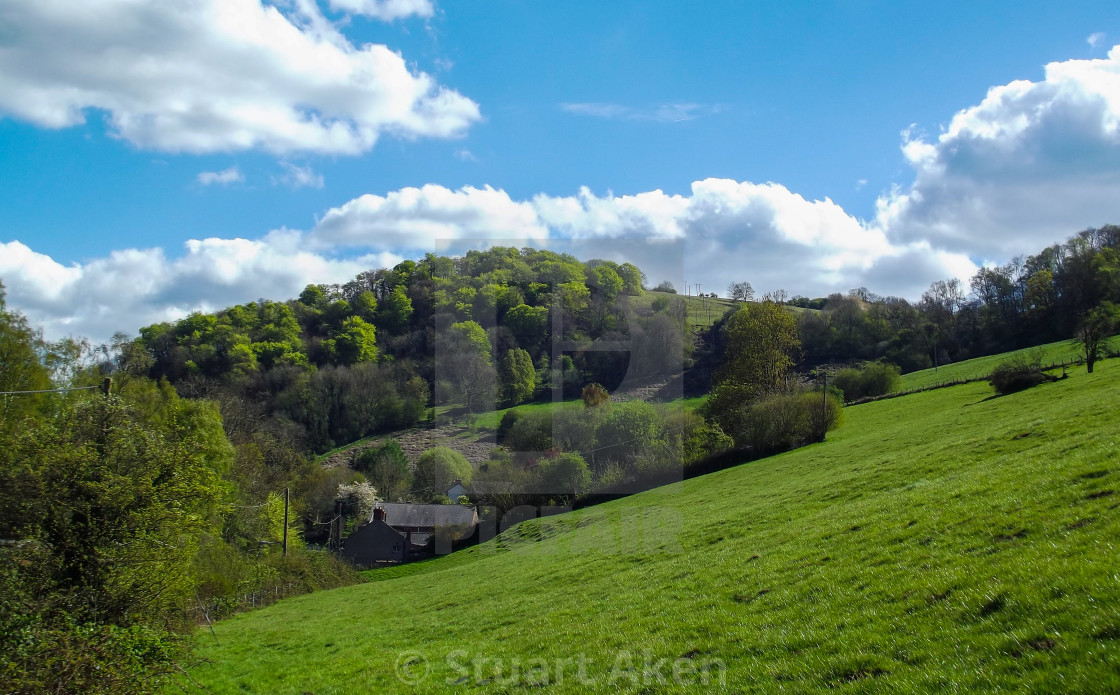 "Summer Hillside" stock image