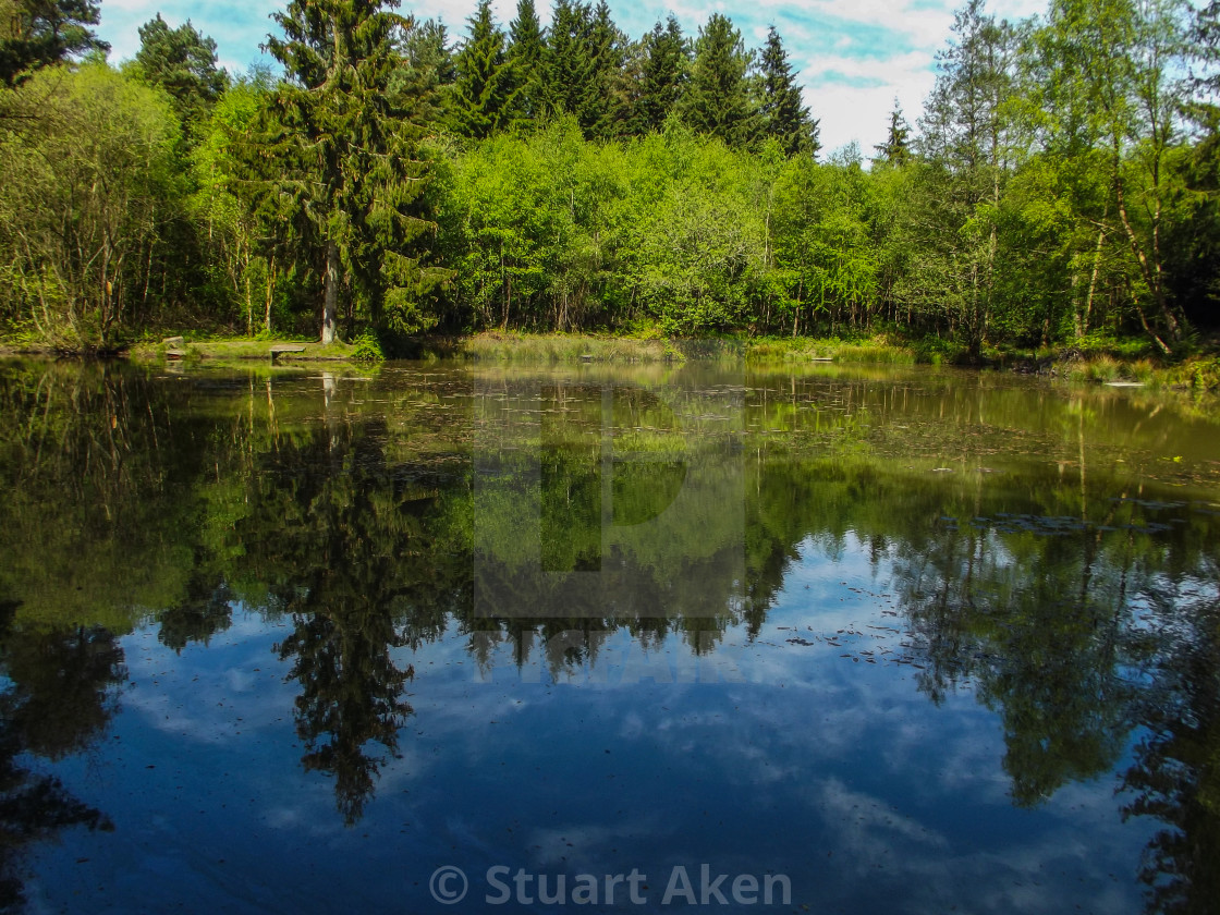 "Reflected Glory" stock image