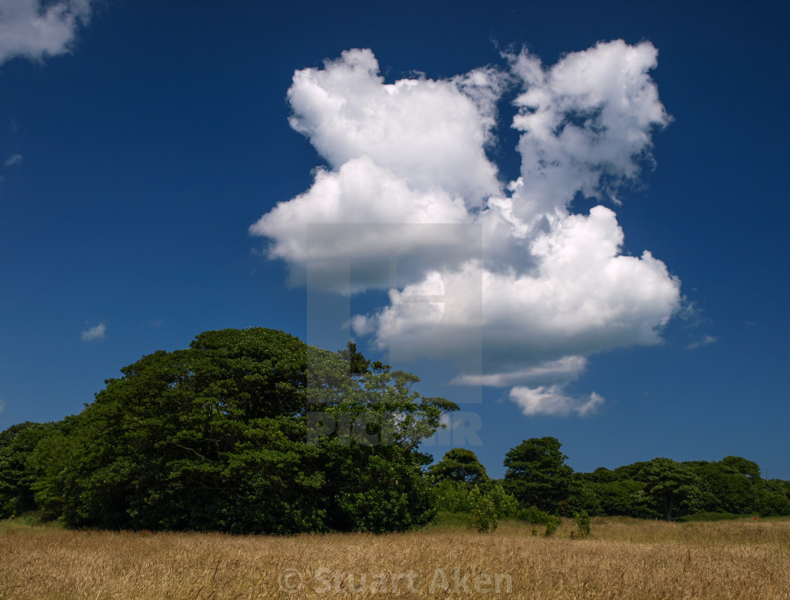 "Different Cloud" stock image