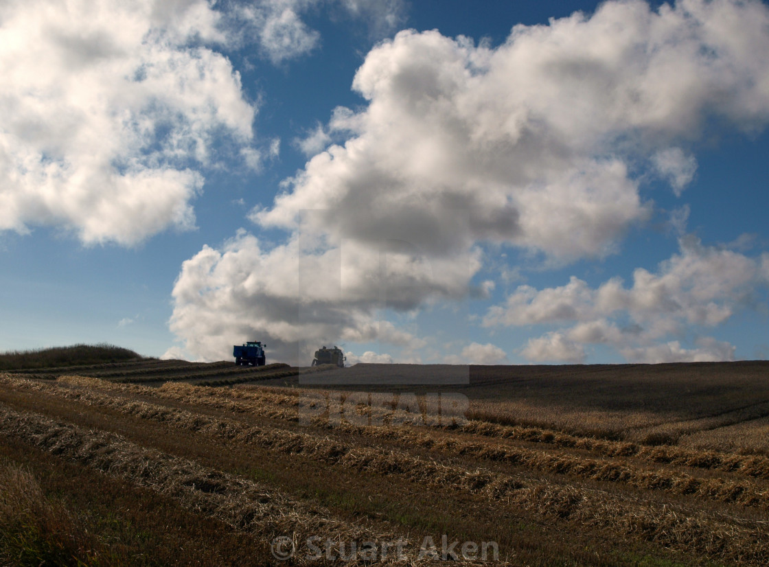 "Harvesting in Autumn" stock image