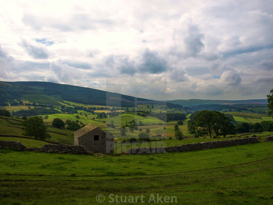 "Summer Light" stock image