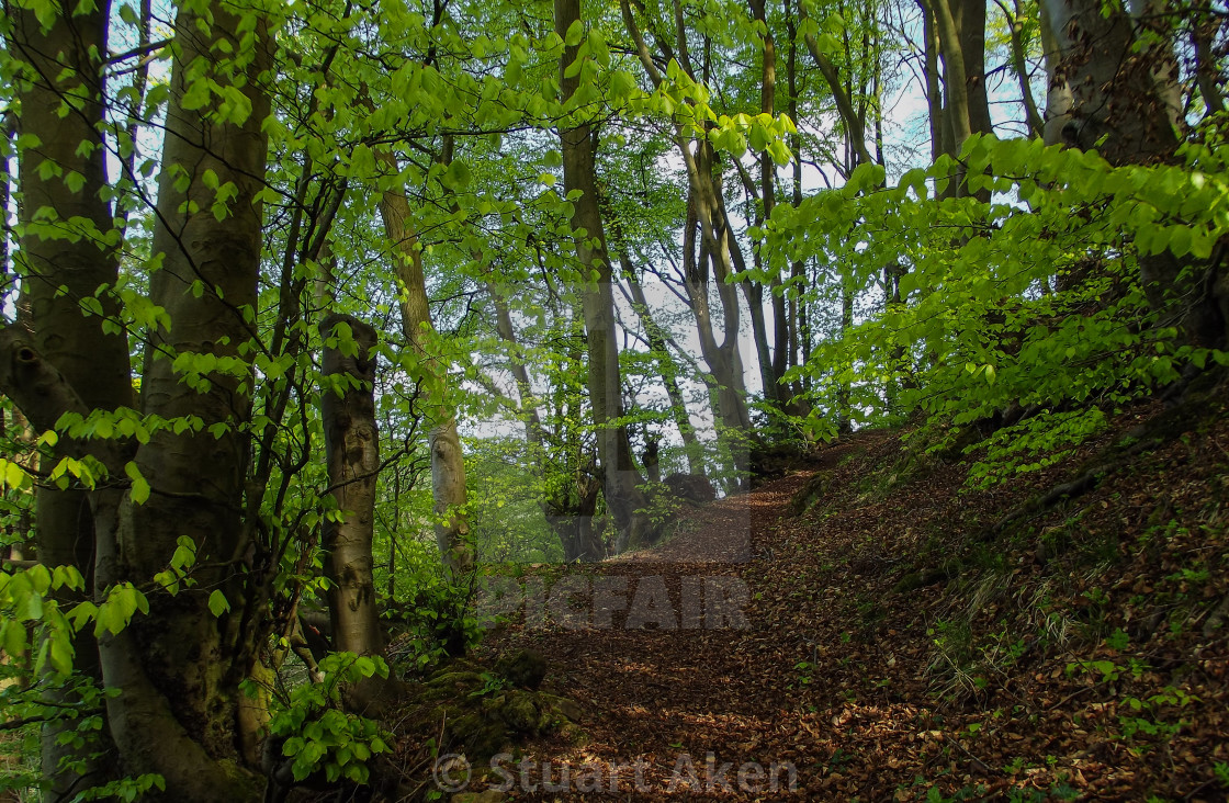 "Uphill Track" stock image