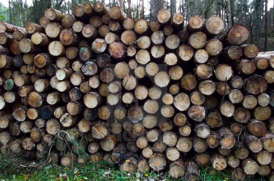 "Log Pile" stock image