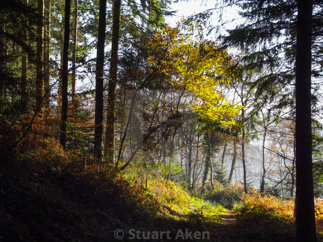 "From Shadow into Light" stock image