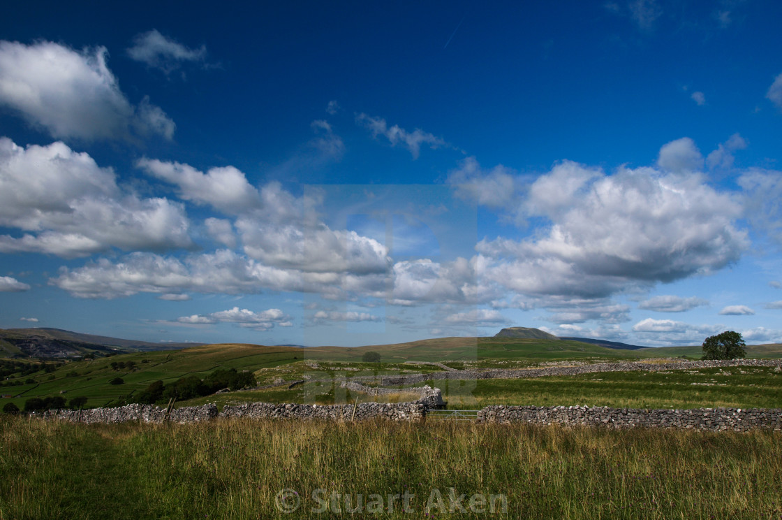 "Summer in the Dales" stock image