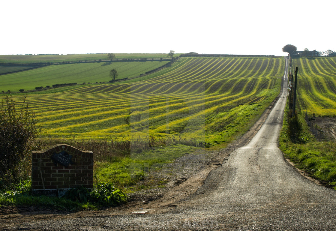 "Undulating Stripes" stock image