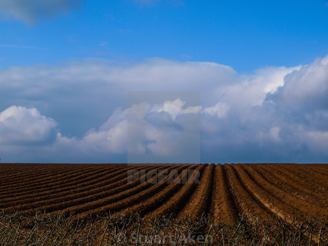 "Furrows" stock image