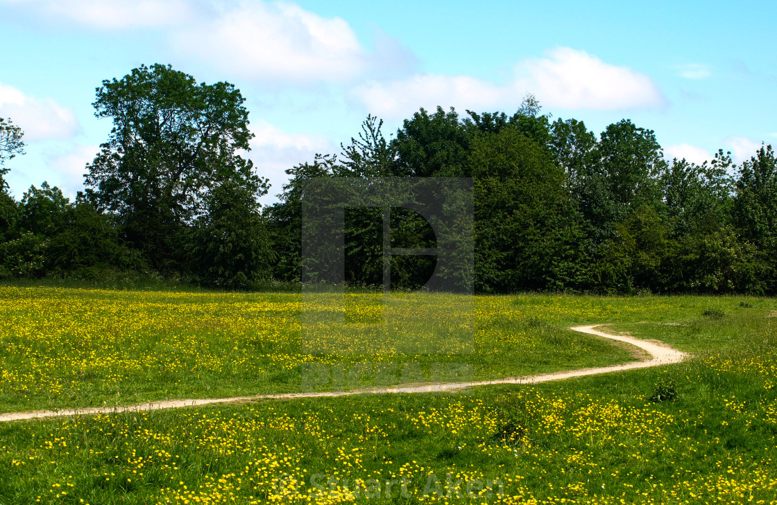 "Meadow Track" stock image