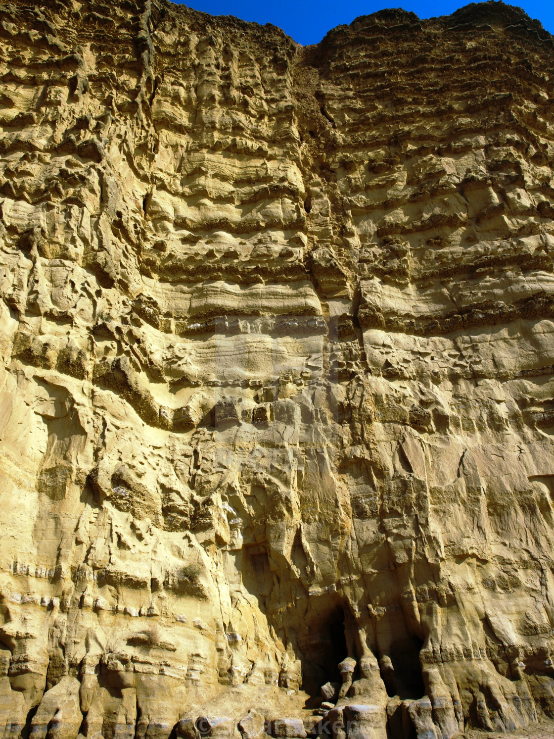 "Sandstone Cliff in Dorset" stock image