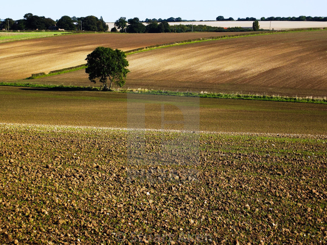 "Ploughed Fields" stock image