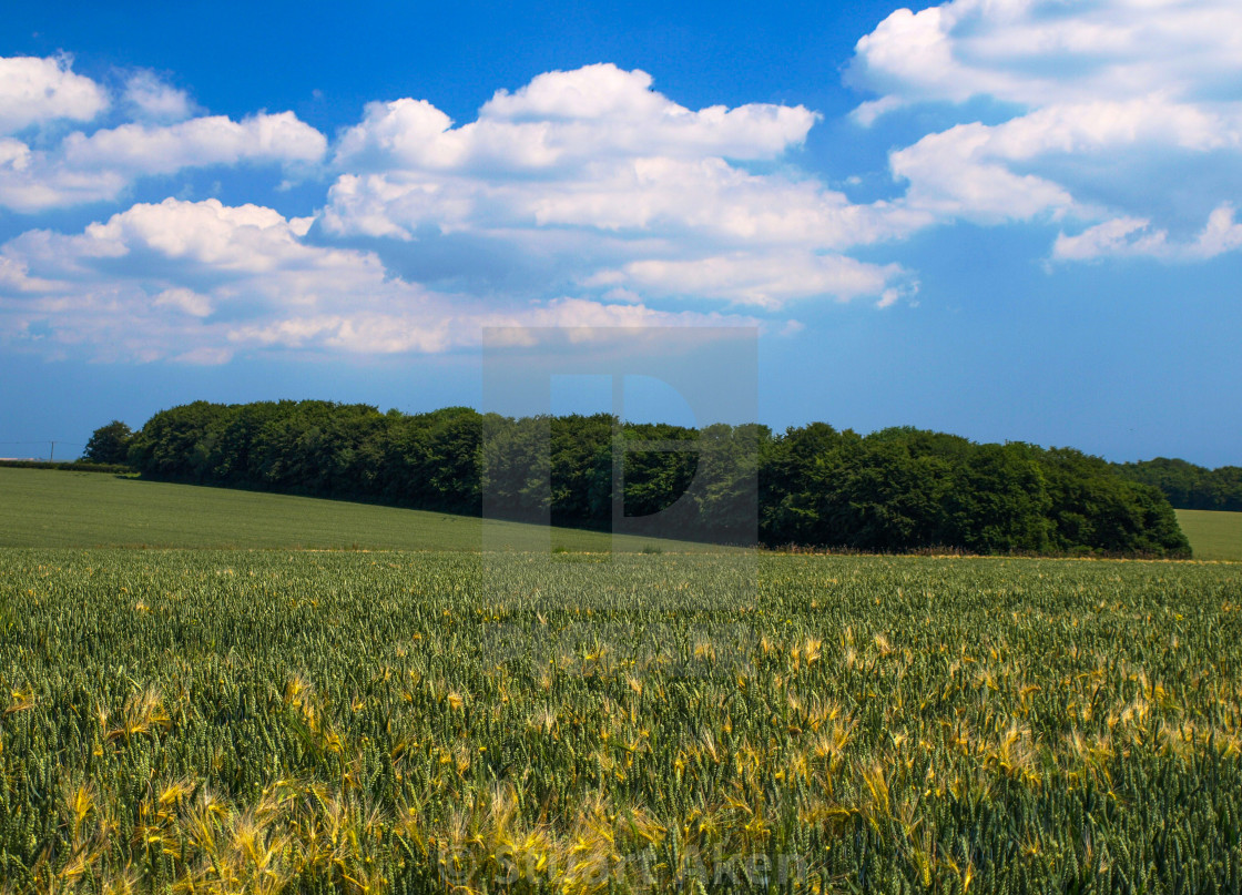 "Those Green Fields" stock image