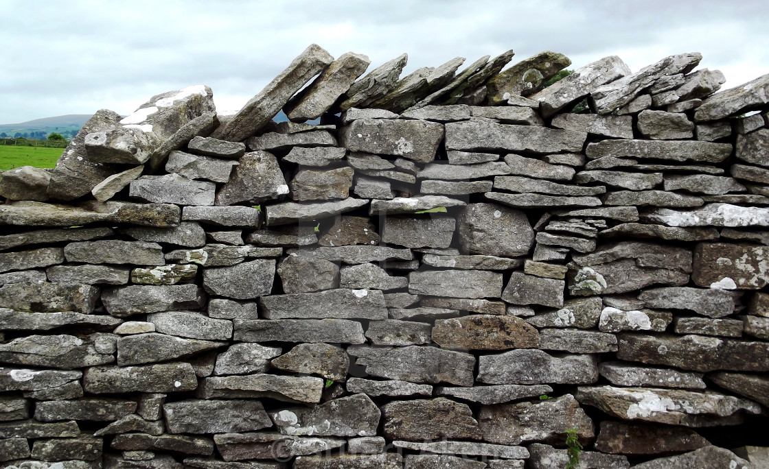 "Yorkshire Stone Wall" stock image