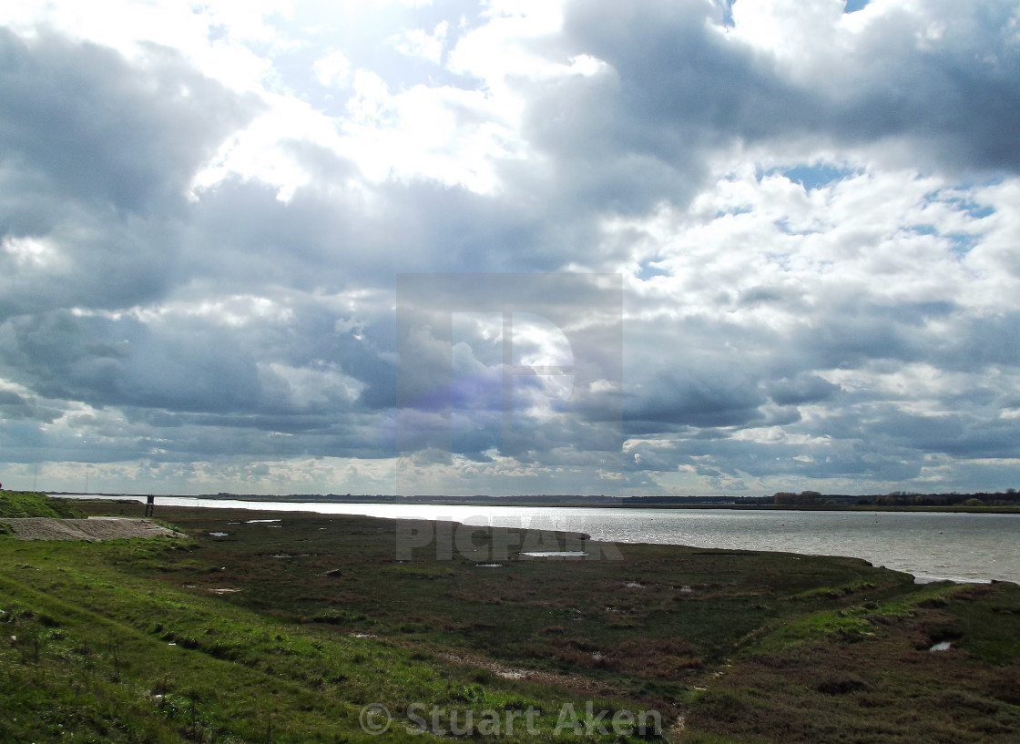 "Salt Marsh" stock image