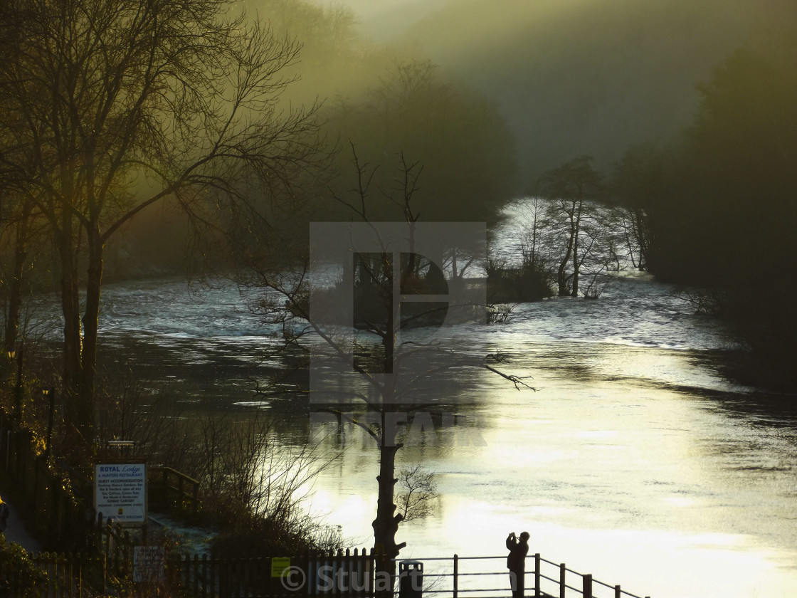 "Morning Mist" stock image