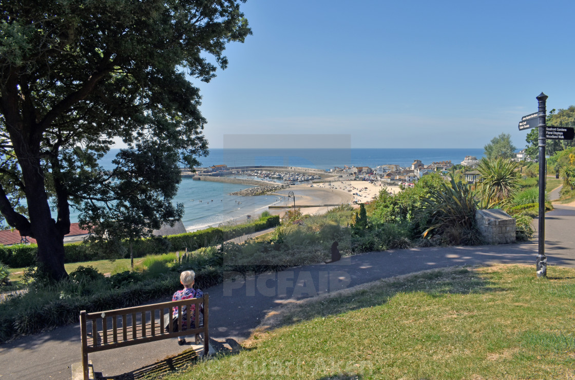 "Lyme Bay from Park" stock image