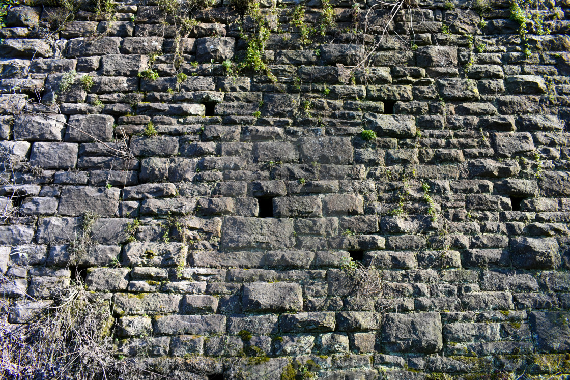 "Stone Wall with Growth" stock image