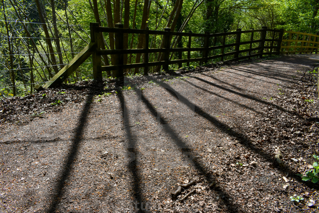 "Long Shadows" stock image