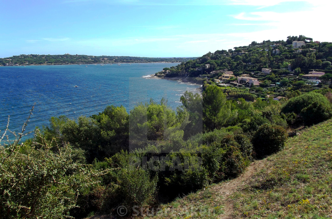 "Coast in St Tropez" stock image