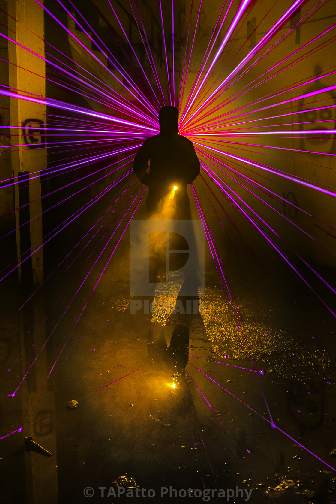 Major Laser License Download Or Print For 40 00 Photos Picfair