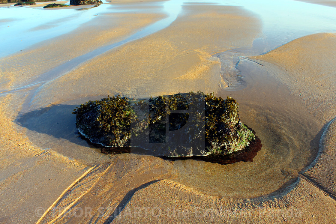 "North Berwick coast near Tantallon Castle" stock image