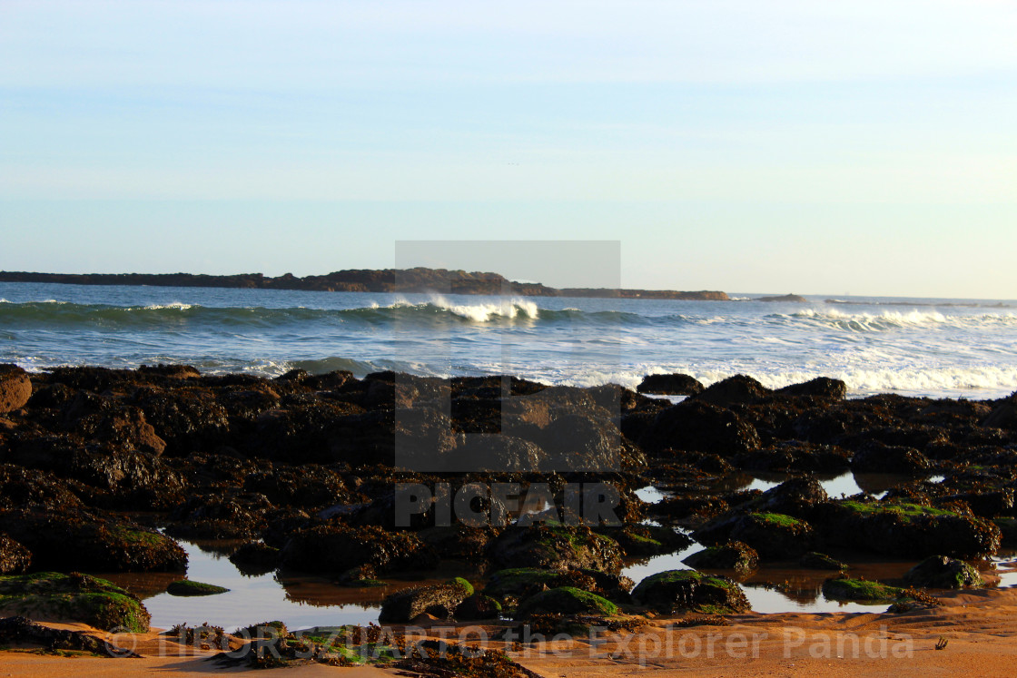 "North Berwick coast" stock image