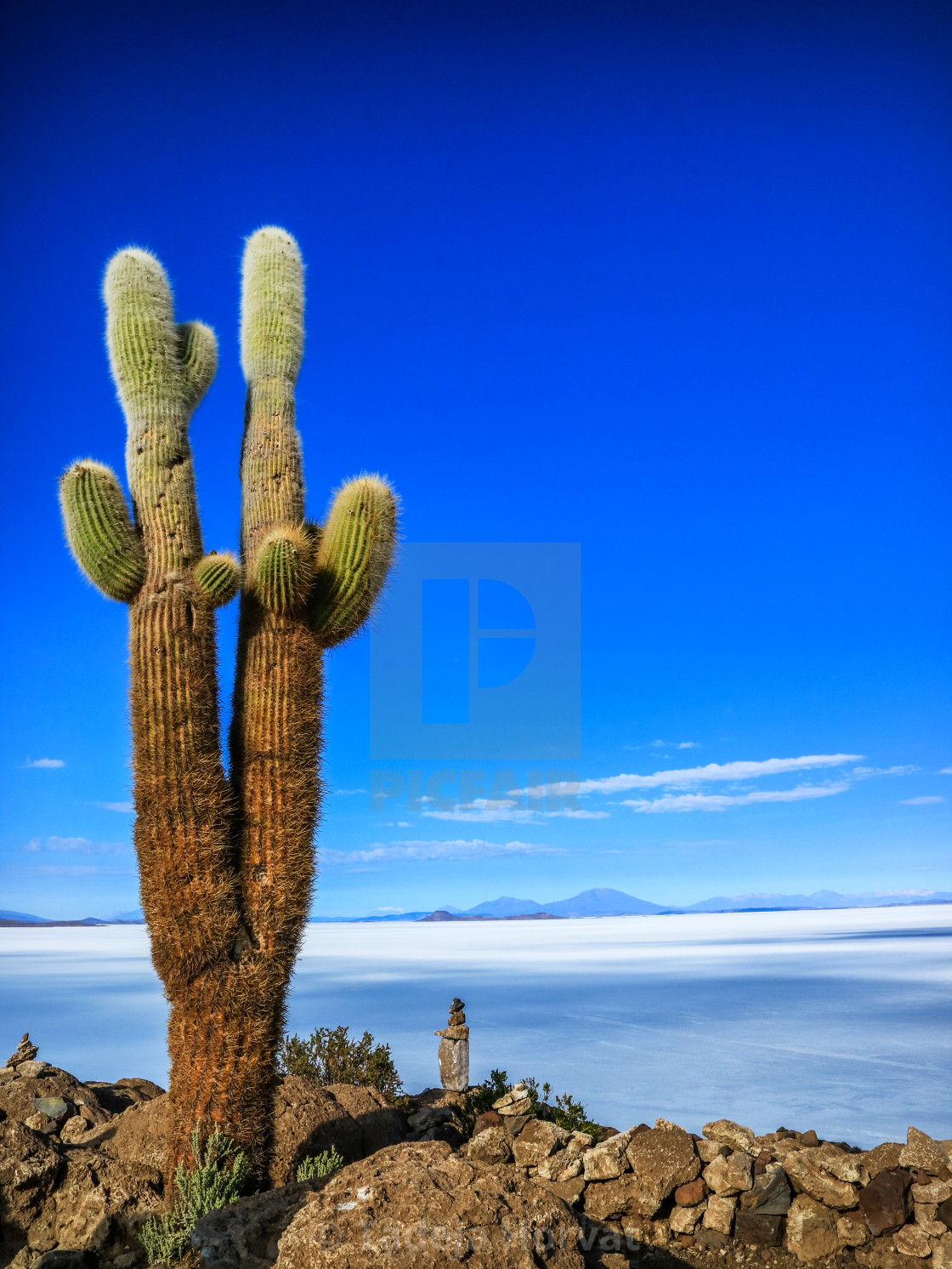 "Isla Incahuasi and Salt Flat of Uyuni" by Tadeja Horvat - $16.29 "Isla Incahuasi and Salt Flat of Uyuni" stock image