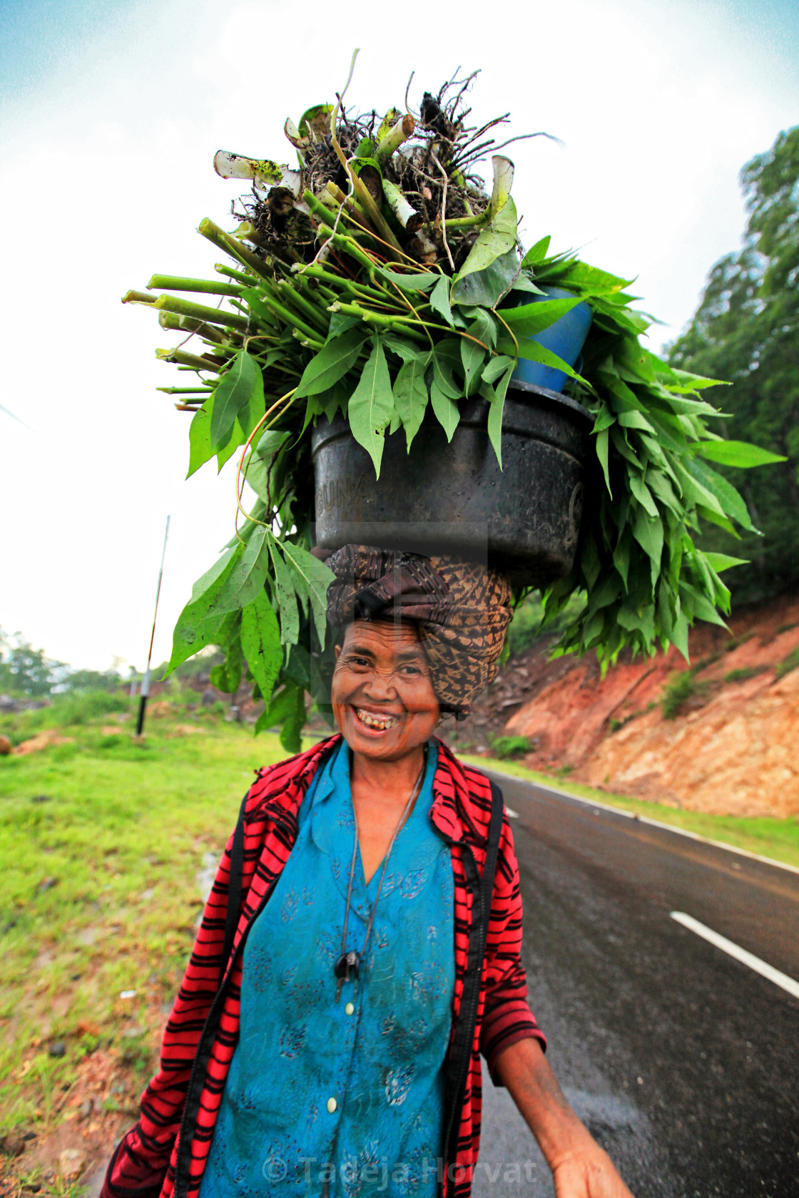 "Women on her way to the market" by Tadeja Horvat - $16.29 "Women on her way to the market" stock image
