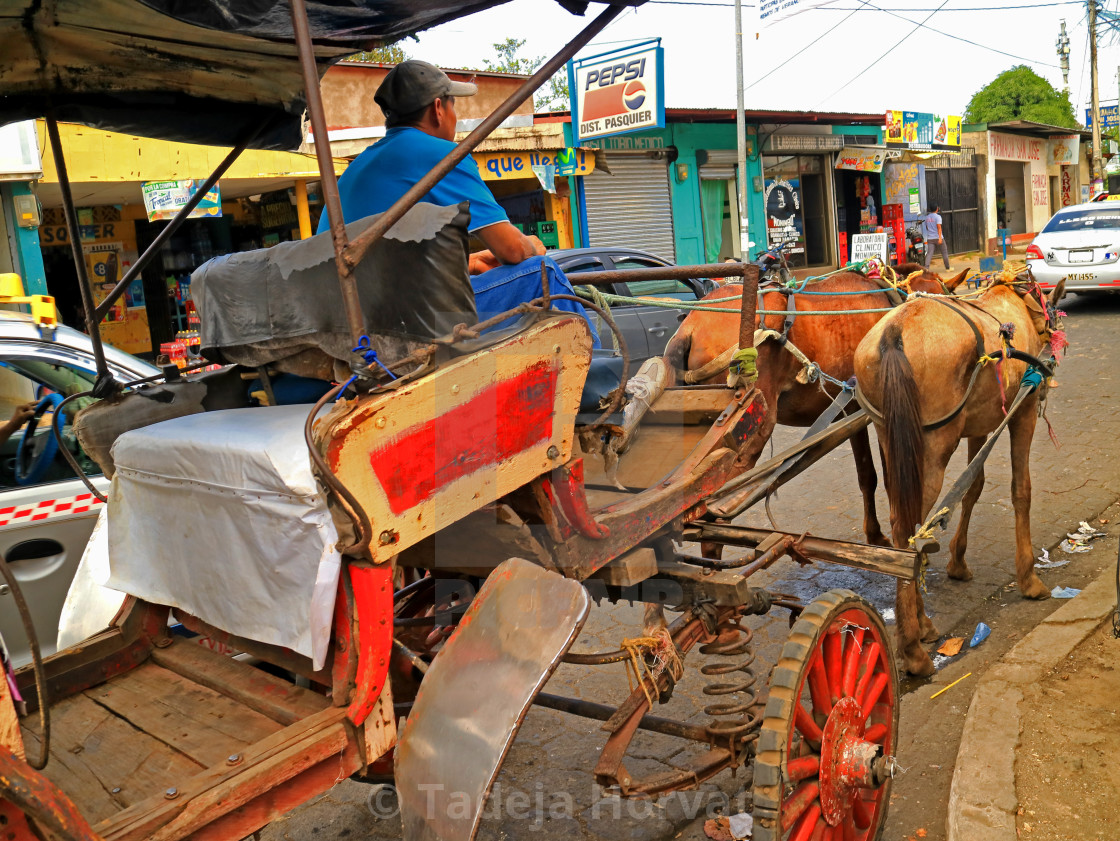 "Horse carriages in Masaya" by Tadeja Horvat - $16.15 "Horse carriages in Masaya" stock image