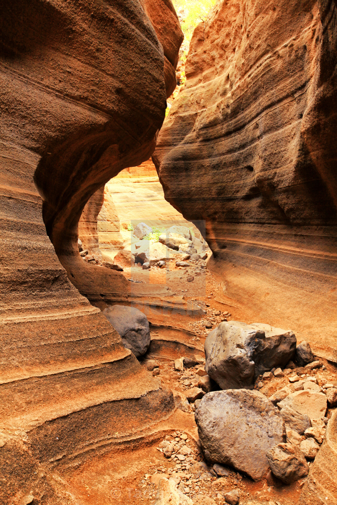 "Barranco de Barafonso canyon" by Tadeja Horvat - $18.79 "Barranco de Barafonso canyon" stock image