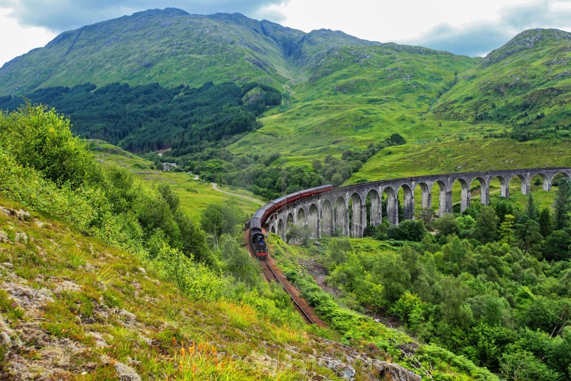 "The Jacobite steam train passes Glenfinnan viaduct" by Tadeja Horvat - $16.31 "The Jacobite steam train passes Glenfinnan viaduct" stock image